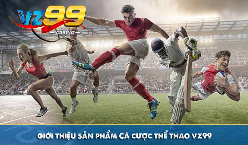 Giới thiệu 11 giới thiệu sản phẩm cá cược thể thao vz99